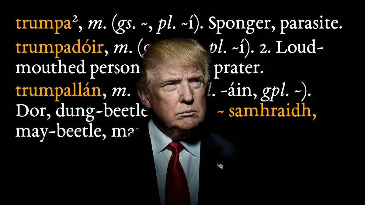 Irish definitions - trumpa, Sponger, parasite. trumpadóir, 2. Loud-mouthed person, prater. trumpallán, Dor, dung-beetle.